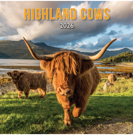 2026 Calendar Highland Cows