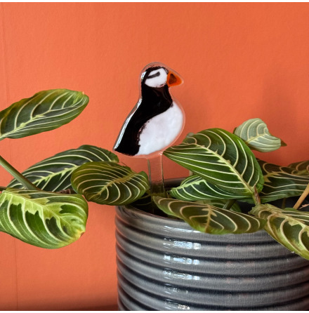 Puffin - Krukv�xtdekoration i glas